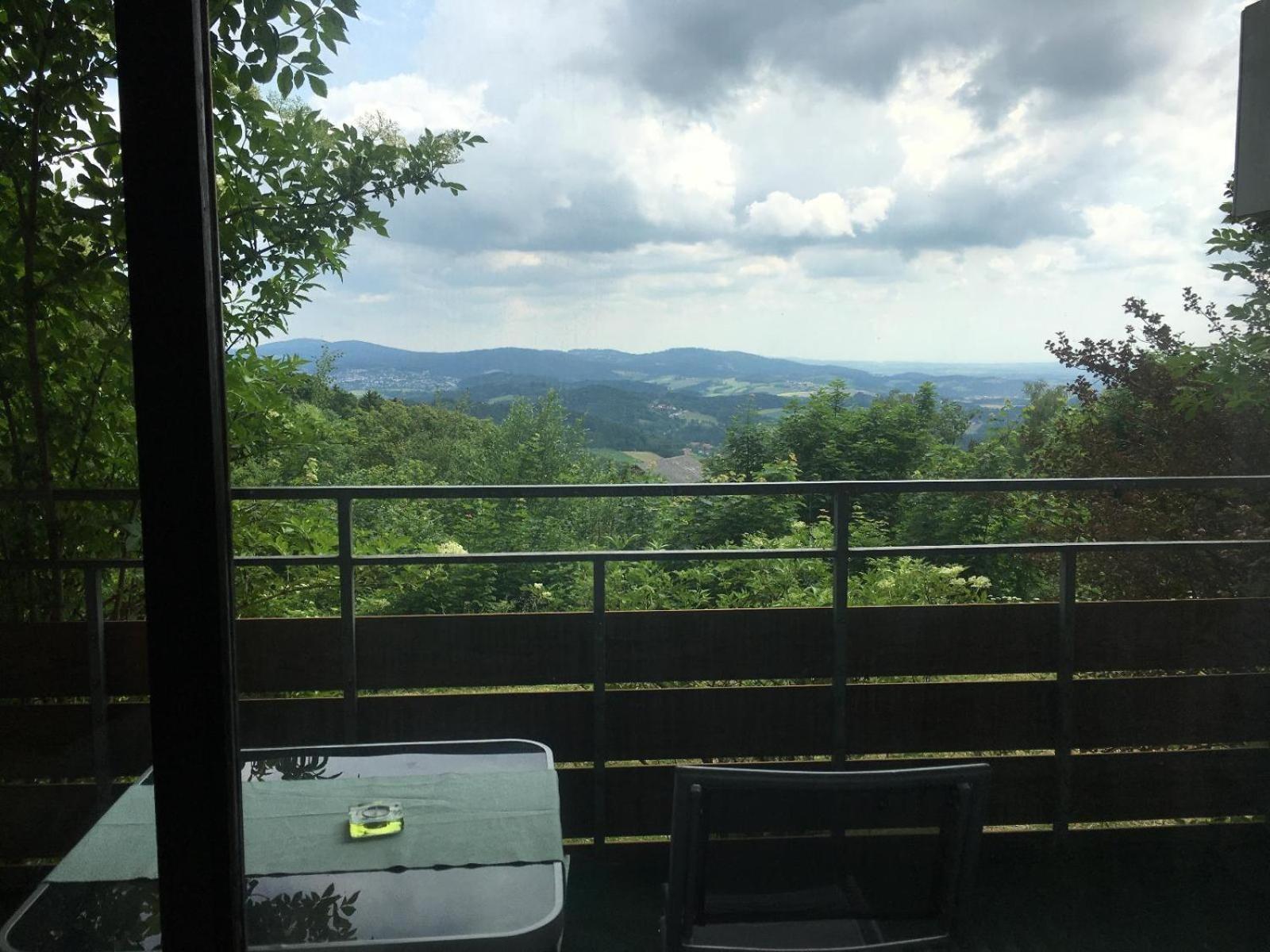 Ferienwohnungen Bayerischer Wald Mit Pool Фрайунг Экстерьер фото